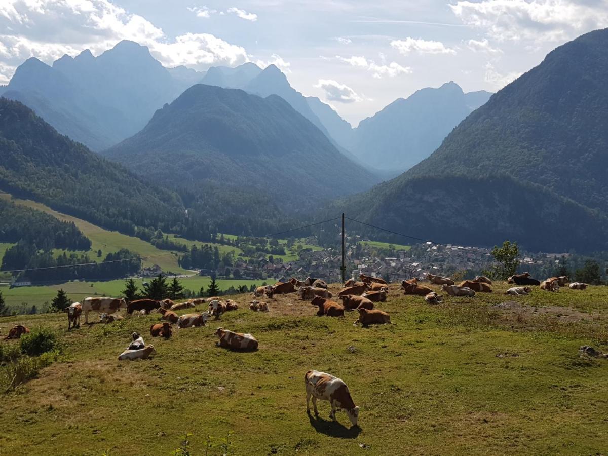 Zajcek Apartma Mojstrana Exterior foto