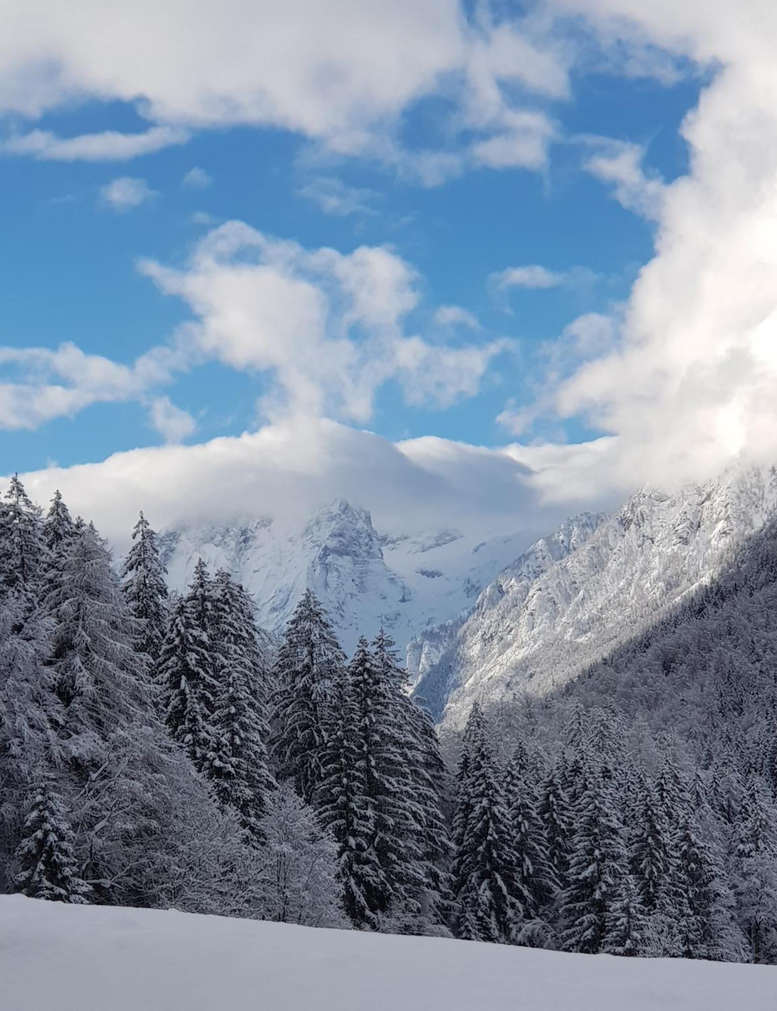 Zajcek Apartma Mojstrana Exterior foto