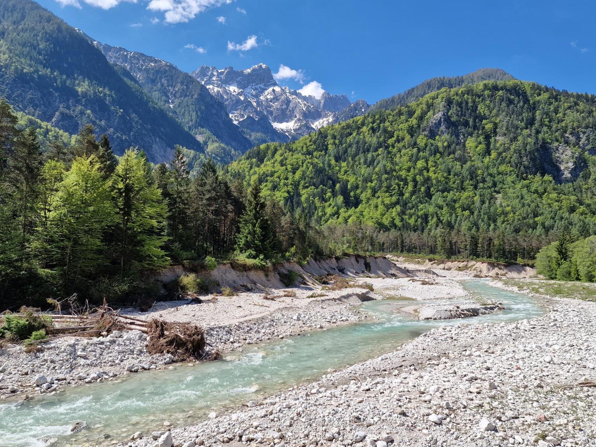 Zajcek Apartma Mojstrana Exterior foto