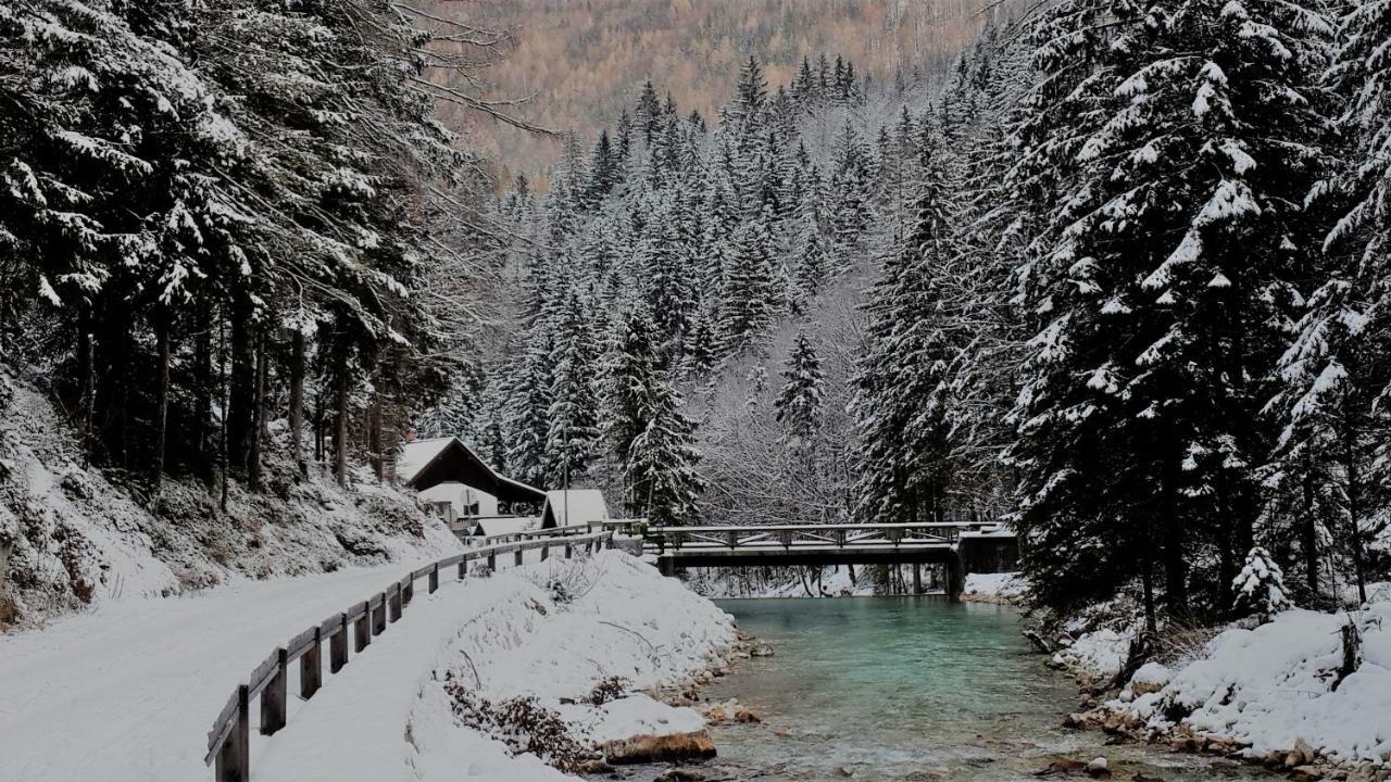 Zajcek Apartma Mojstrana Exterior foto