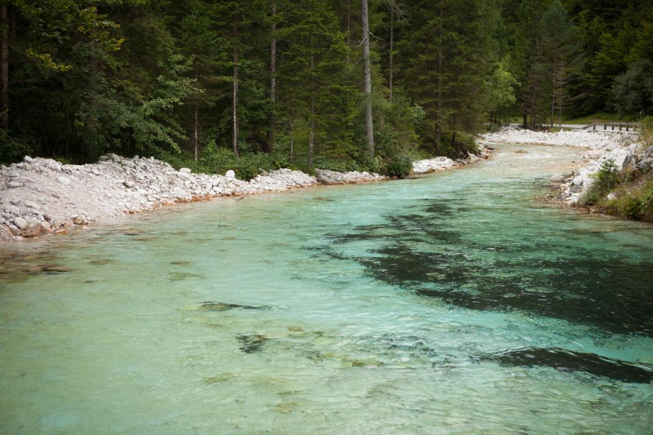 Zajcek Apartma Mojstrana Exterior foto